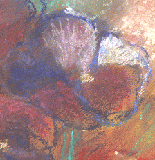 Blumen Bild
